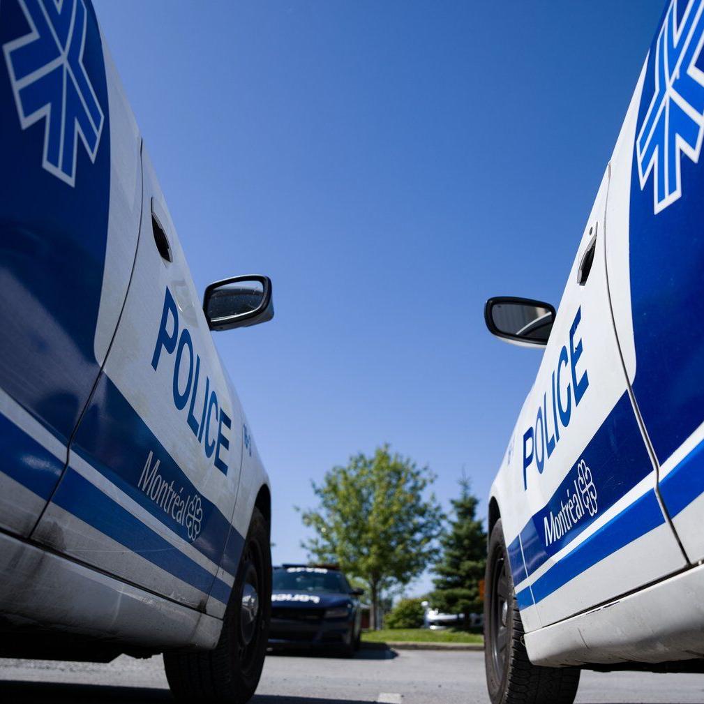 Quebec police watchdog opens investigations into deaths in Montreal, Quebec City